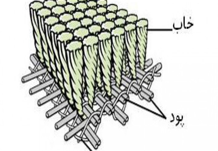 تعریف شانه و تراکم و نحوه تشخیص آن